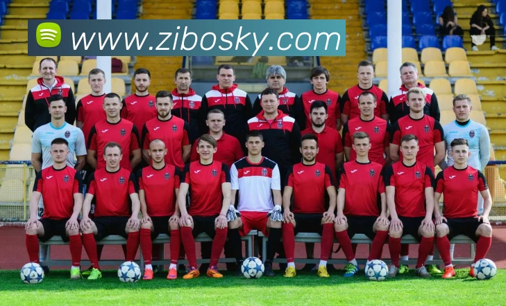 8868体育官网登录方法服务体系